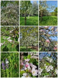 collage_20250420_141104.jpg